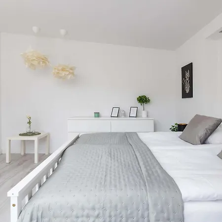 Spacious In With Ac & Parking