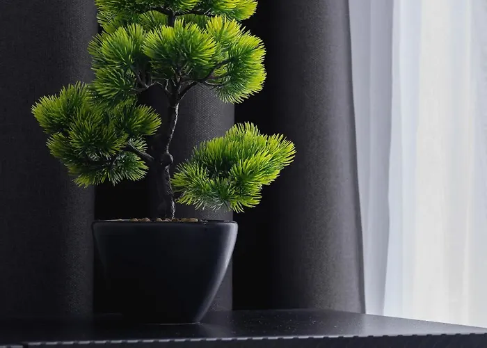 Nyaraló Spacious In With Ac & Parking *