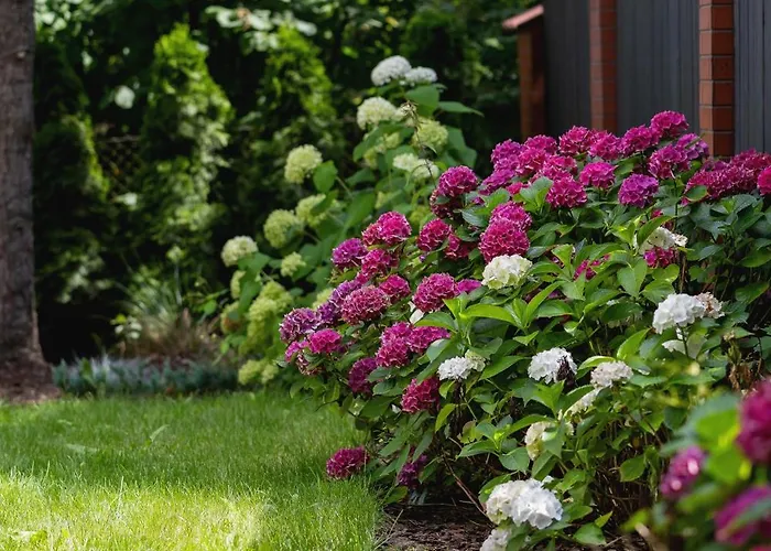 Spacious In With Ac & Parking *